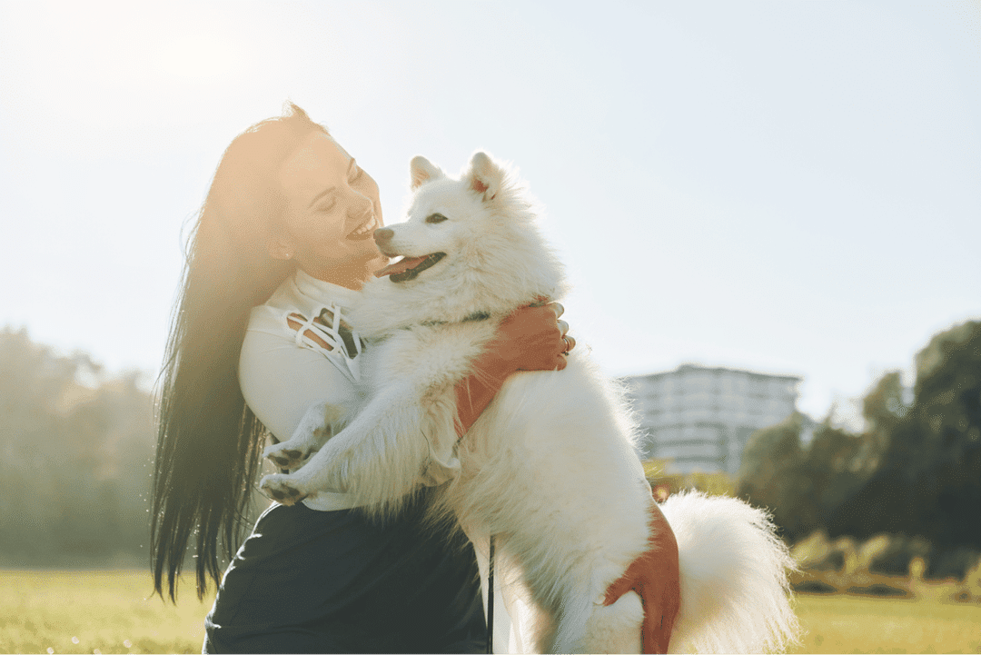 ¡Descubre cómo los perros demuestran su amor con estas 10 señales!