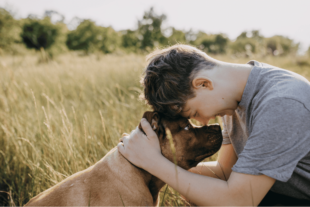 como saber que tu perro te ama